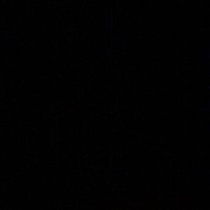 Meet your Posher, Cheyenne